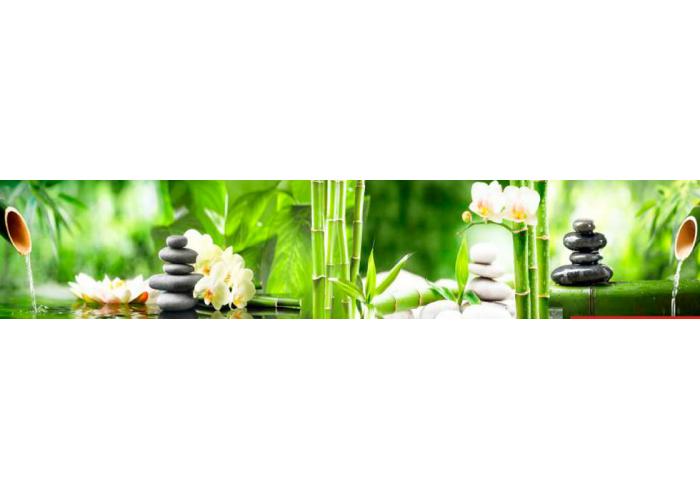 Стеновая панель 300 ПР чистый источник