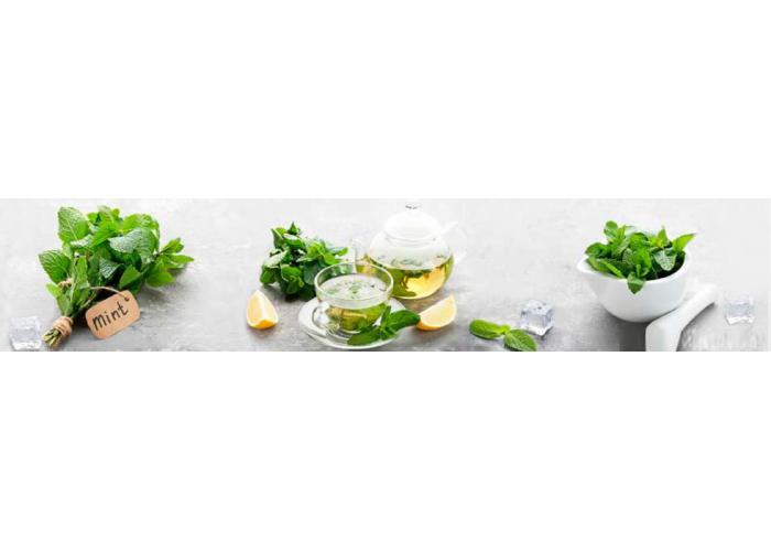 Стеновая панель 300 ПР мятный чай