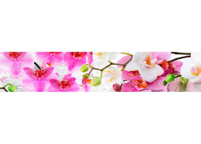 Стеновая панель 300 ПР орхидея
