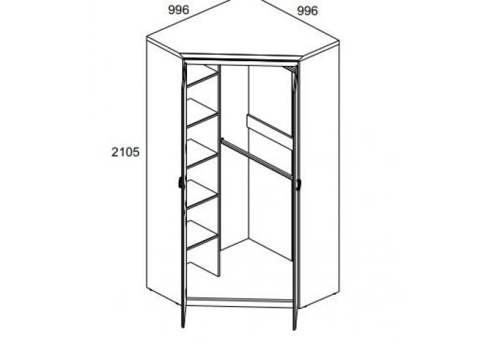 Шкаф угловой Анрэкс BJORK 2D