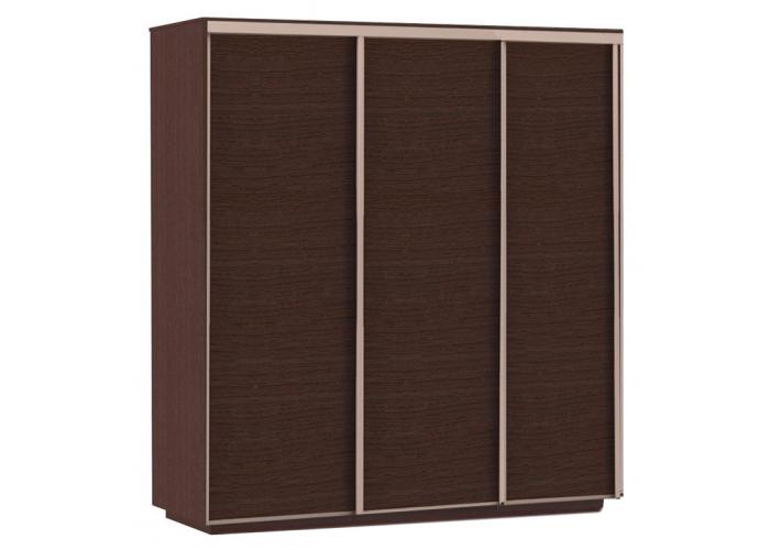 Шкаф-купе Сенатор 180х60х220 Трио Комби 3