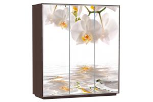 Шкаф-купе Сенатор 180х60х220 Трио Орхидеи