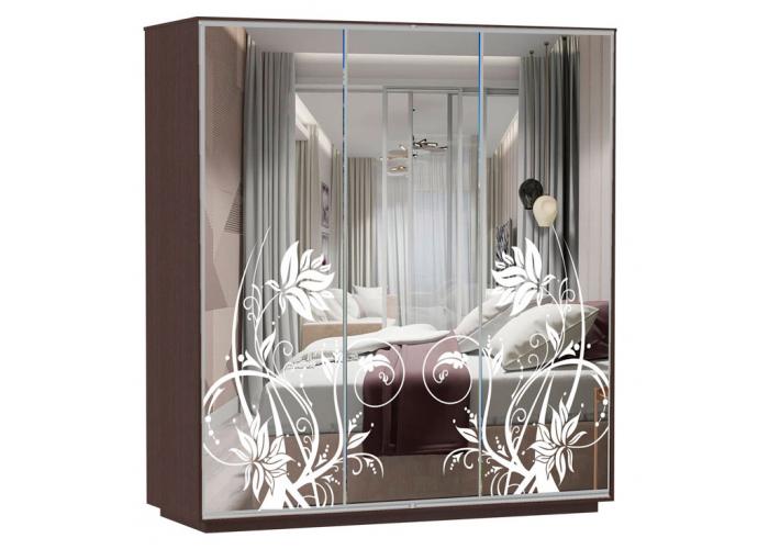 Шкаф-купе Сенатор 210х60х220 Трио Астра