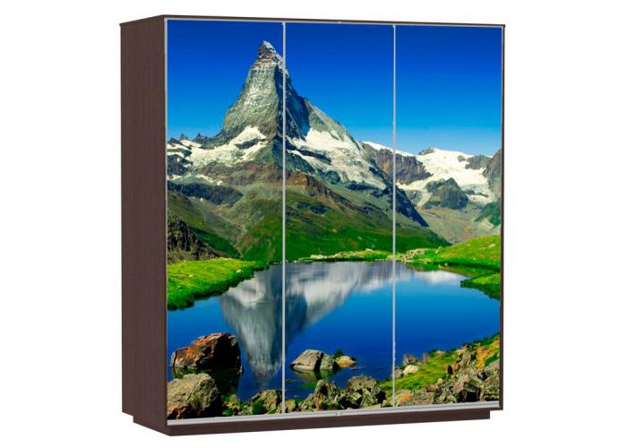 Шкаф-купе Сенатор 210х60х220 Трио Горы