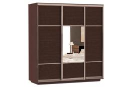 Шкаф-купе Сенатор 210х60х220 Трио Комби 1 / Комби 2