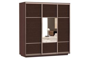 Шкаф-купе Сенатор 210х60х220 Трио Комби 1 / Комби 2