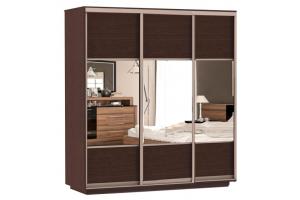 Шкаф-купе Сенатор 210х60х220 Трио Комби 2