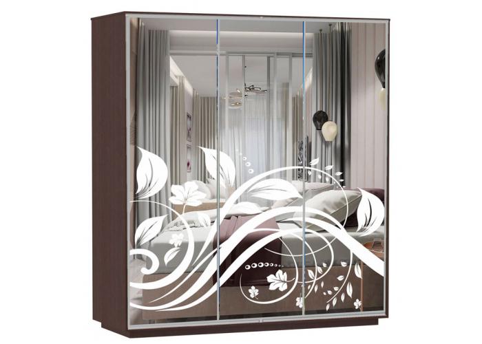 Шкаф-купе Сенатор 210х60х220 Трио Лоза