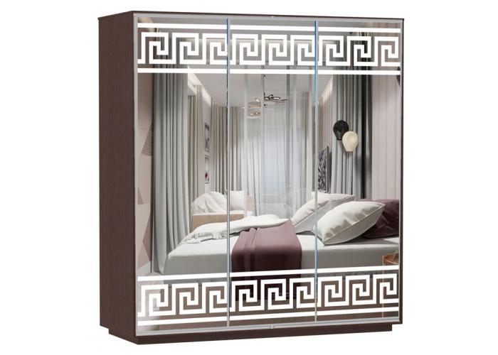 Шкаф-купе Сенатор 210х60х220 Трио Версаче