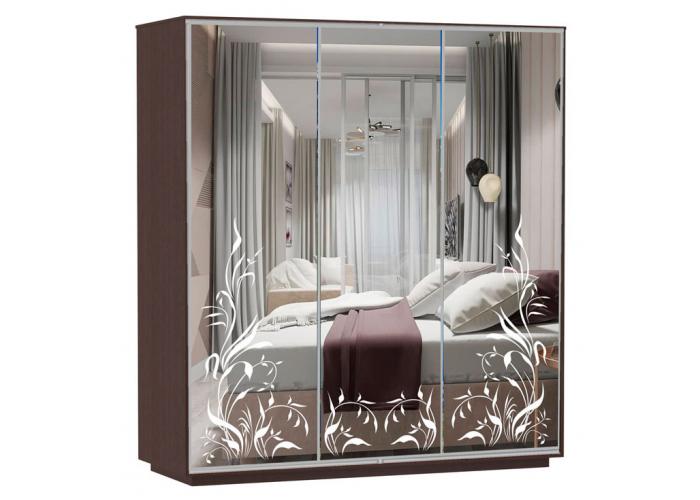 Шкаф-купе Сенатор 240х60х220 Трио Лиана