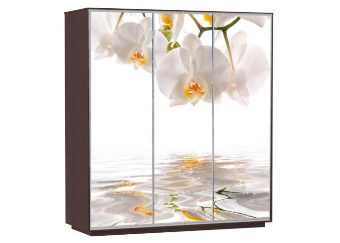 Шкаф-купе Сенатор 240х60х220 Трио Орхидеи