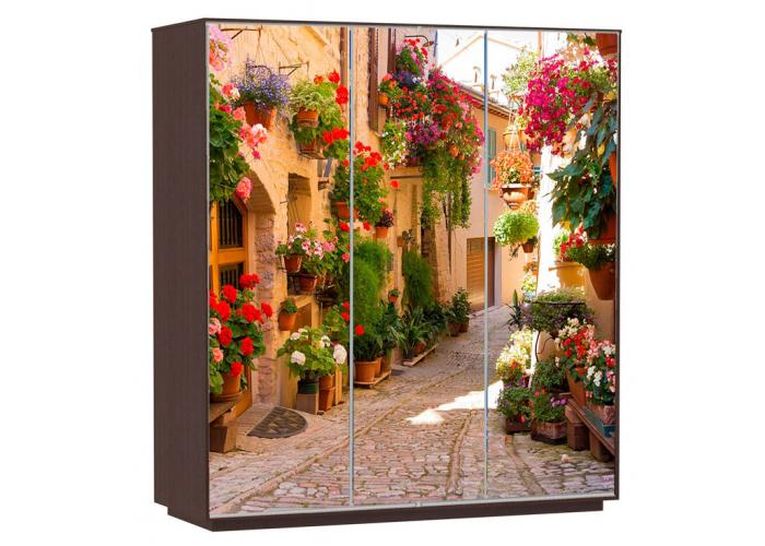 Шкаф-купе Сенатор 240х60х220 Трио Цветочная улица