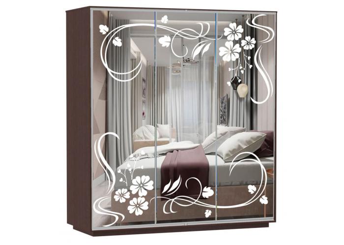 Шкаф-купе Сенатор 240х60х220 Трио Ветка