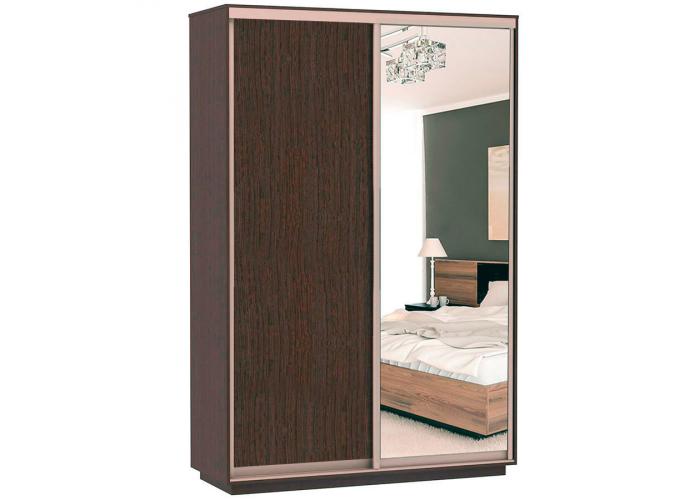 Шкаф-купе Сенатор 120х60х220 Класс Комби 3 / Комби 4