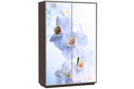 Шкаф-купе Сенатор 180х60х220 Класс Орхидеи
