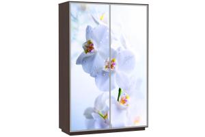 Шкаф-купе Сенатор 160х45х220 Класс Орхидеи