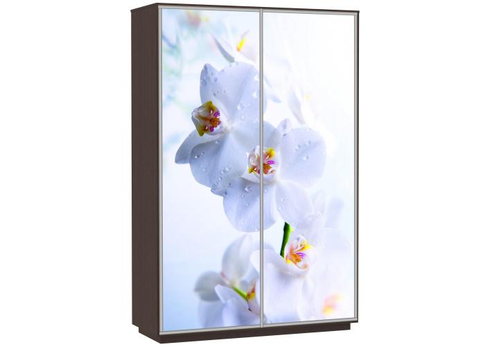 Шкаф-купе Сенатор 160х60х220 Класс Орхидеи