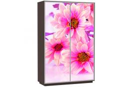 Шкаф-купе Сенатор 160х60х220 Класс Цветы