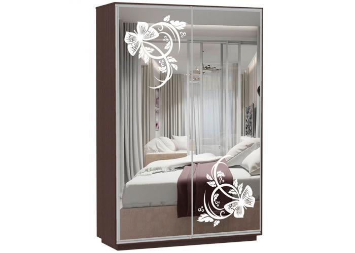 Шкаф-купе Сенатор 120х60х220 Класс Бабочки-2