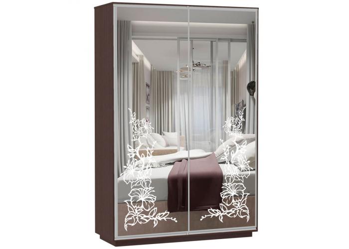 Шкаф-купе Сенатор 120х60х220 Класс Мальва