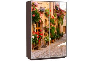 Шкаф-купе Сенатор 120х60х220 Класс Цветочная улица