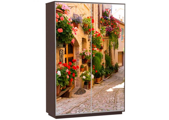 Шкаф-купе Сенатор 160х60х220 Класс Цветочная улица