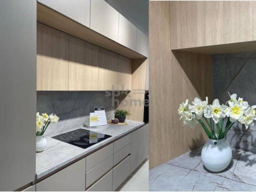 Женева СБК кухня