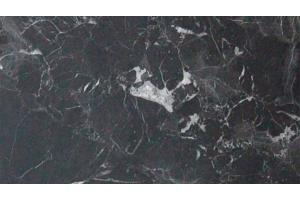 Стеновая панель СБК Грей Кунгур №921