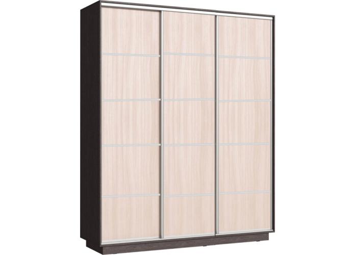 Шкаф-купе Сенатор 240х60х220 Трио Комби 5