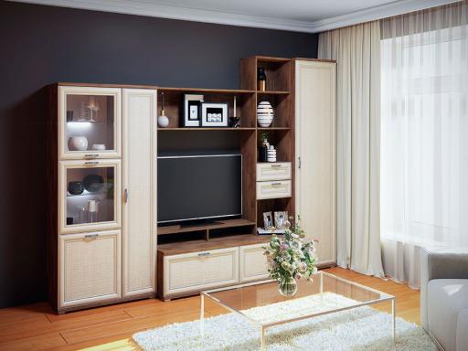 Катрин Евромебель гостиная