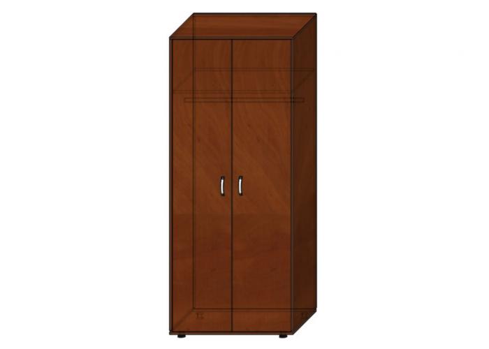 Шкаф для одежды ЛОББИ Стандарт СМ-305
