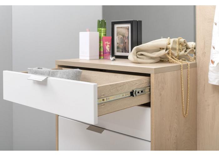 Шкаф многоцелевого назначения Моби Нэкст 10.21