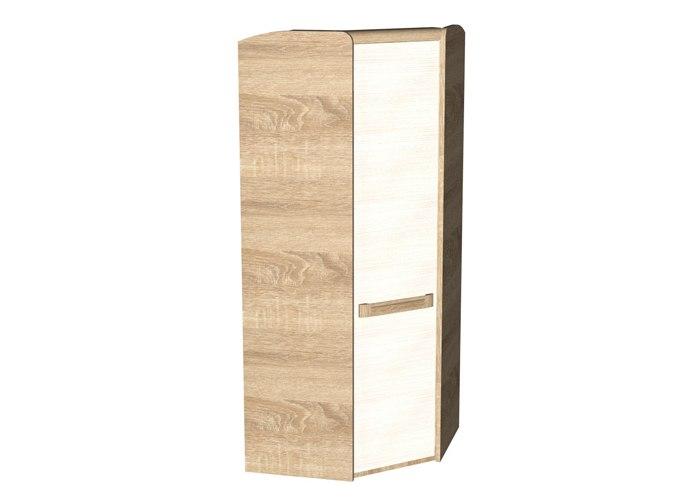 Шкаф для одежды угловой СБК Чемпион