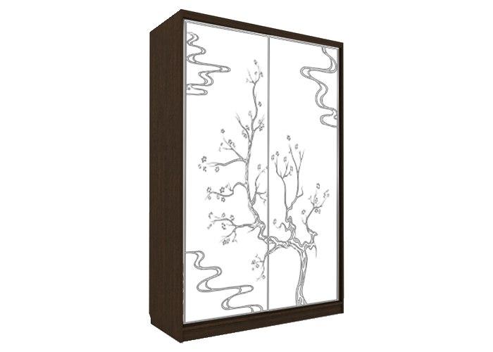 Шкаф-купе Победа П-2-35