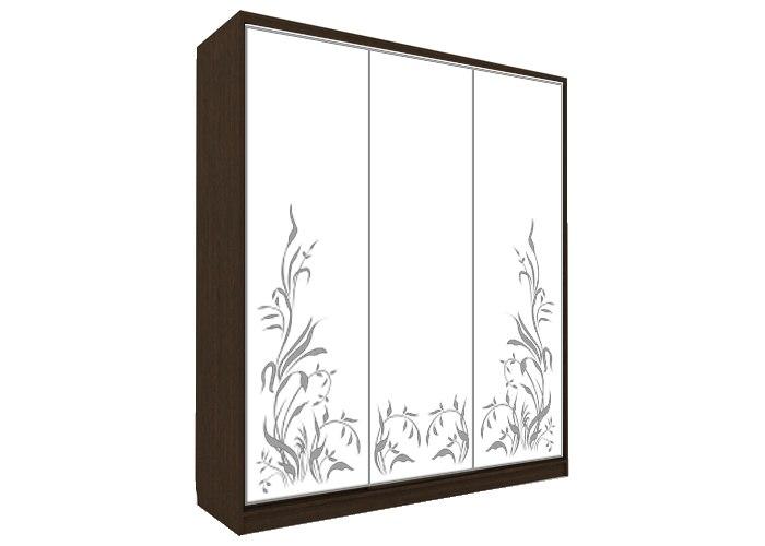 Шкаф-купе Победа П-3-06