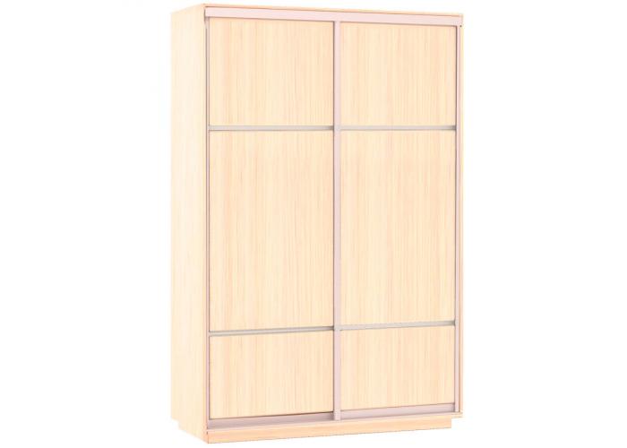 Шкаф-купе Сенатор 160х45х220 Класс Комби 1