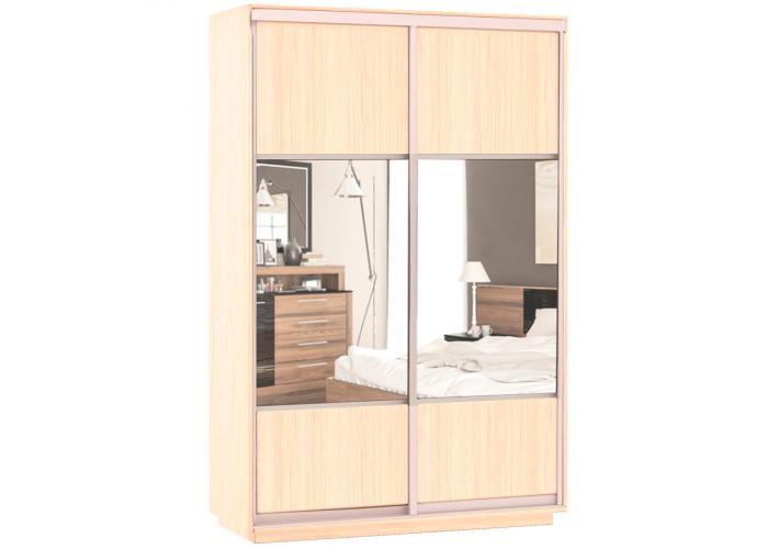 Шкаф-купе Сенатор 120х45х220 Класс Комби 2