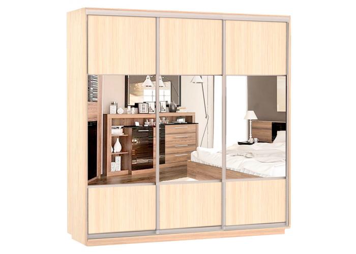 Шкаф-купе Сенатор 180х60х220 Трио Комби 2