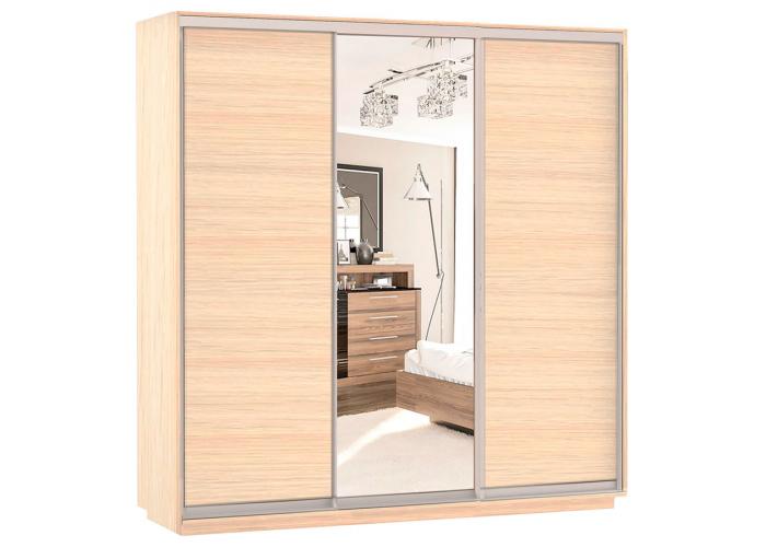 Шкаф-купе Сенатор 240х60х220 Трио Комби 3 / Комби 4