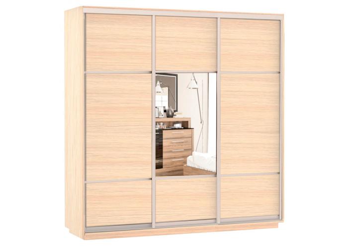 Шкаф-купе Сенатор 210х60х220 Трио Комби 1 / Комби 2