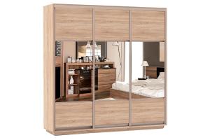 Шкаф-купе Сенатор 180х60х220 Трио Комби 2