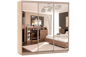 Шкаф-купе Сенатор 210х60х220 Трио Комби 4