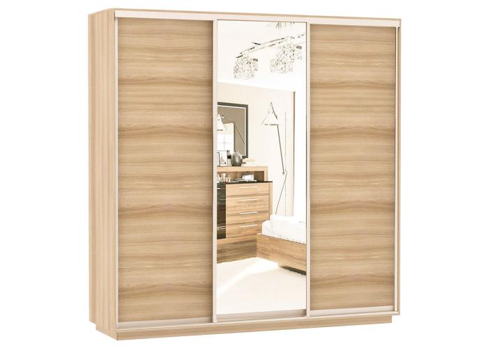 Шкаф-купе Сенатор 240х60х220 Трио Комби 3 / Комби 4