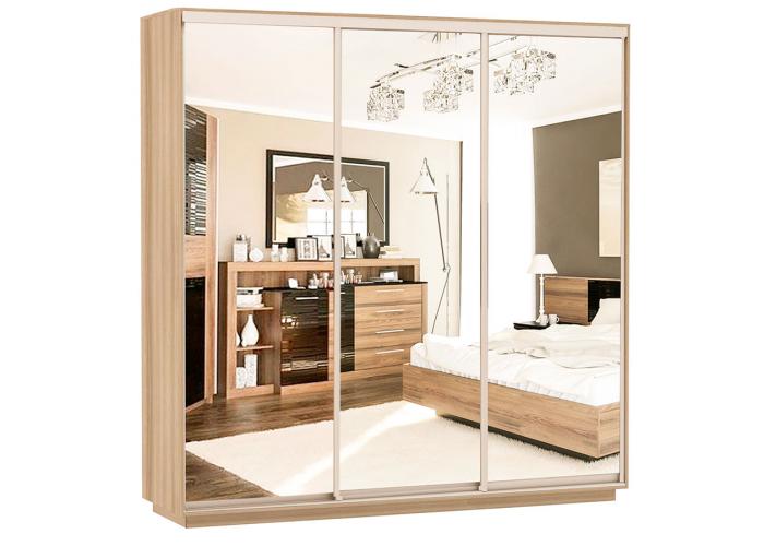 Шкаф-купе Сенатор 240х60х220 Трио Комби 4