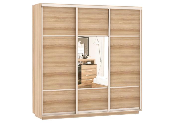 Шкаф-купе Сенатор 210х60х220 Трио Комби 1 / Комби 2