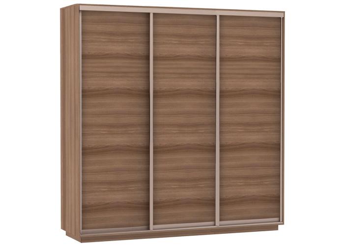 Шкаф-купе Сенатор 210х60х220 Трио Комби 3