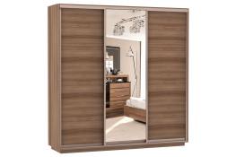 Шкаф-купе Сенатор 210х60х220 Трио Комби 3 / Комби 4