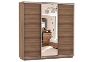 Шкаф-купе Сенатор 210х60х220 Трио Комби 3 / Комби 4