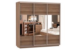 Шкаф-купе Сенатор 240х60х220 Трио Комби 2