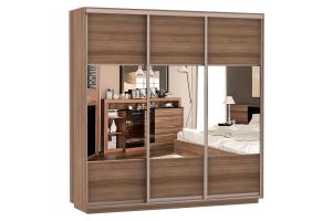 Шкаф-купе Сенатор 240х60х220 Трио Комби 2